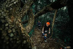 BIB: 
                            <button type="button" onclick="openModal(25695758)" class="btn btn-primary btn-sm float-right btn-popup" data-toggle="modal" data-target=".modal-high-quality">
                        <i class="fas fa-shopping-cart"></i> Add to Cart
                    </button>
                                            <button type="button" onclick="isThisMe(25695758, true)" class="btn btn-success btn-sm float-right btn-popup btn-isme hidden" data-toggle="tooltip" data-placement="bottom" title="นี่คือรูปของคุณใช่ไหม คลิกที่นี่เพื่อเอาเข้าอัลบั้ม">
                        <i class="fas fa-plus"></i> Add to album
                    </button>
                    <button type="button" onclick="isThisMe(25695758, false)" class="btn btn-warning btn-sm float-right btn-popup btn-isnotme hidden">
                        <i class="fas fa-ban"></i> Remove from album
                    </button>